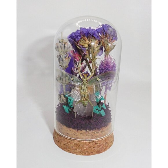 Praying Mantis Crystal & Flowers Oddity Jar insect taxidermy curiosity dome goth - Picture 10 of 15